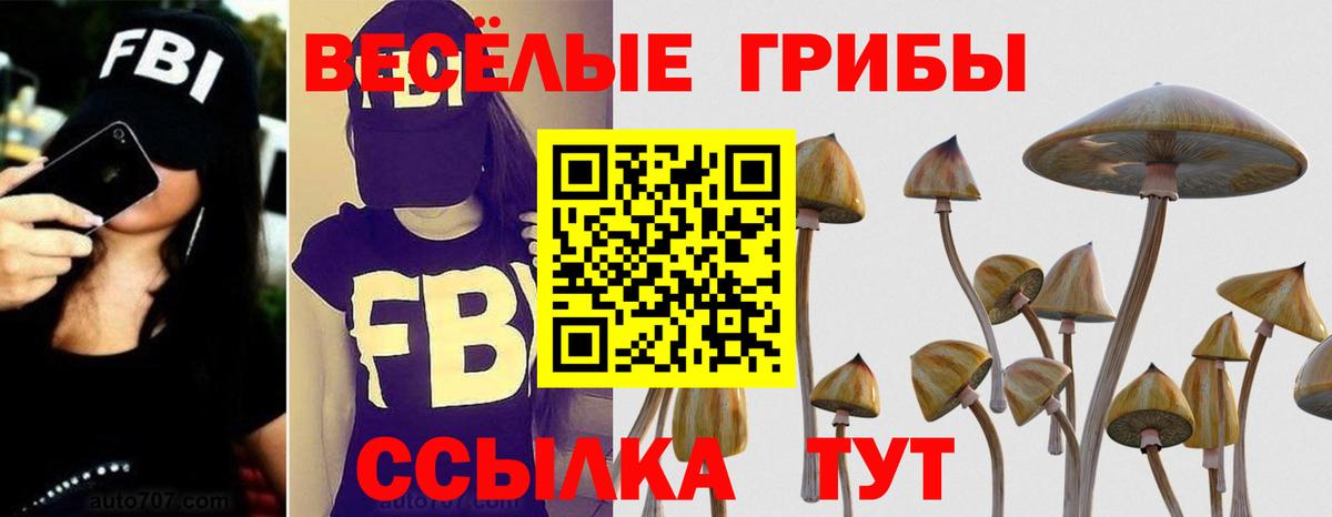 Новозыбков  Псилоцибиновые грибы Psilocybe  Вход с VPN  дарнет шоп  Галлюциногенные грибы MAGIC MUSHROOMS 
